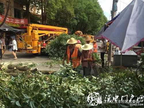 漢中市區(qū)一棵10米大樹突然傾倒，刮倒高壓線，所幸無人傷亡