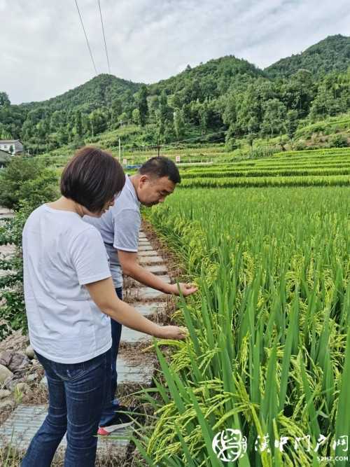 產(chǎn)業(yè)扶貧為鎮(zhèn)巴梅坡村插上騰飛的翅膀