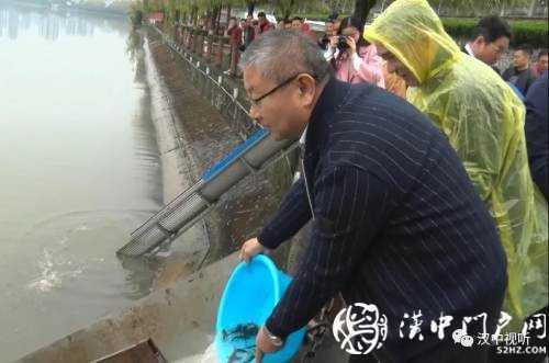 漢臺區(qū)愛心放流，40萬尾魚寶寶漢江“安家”