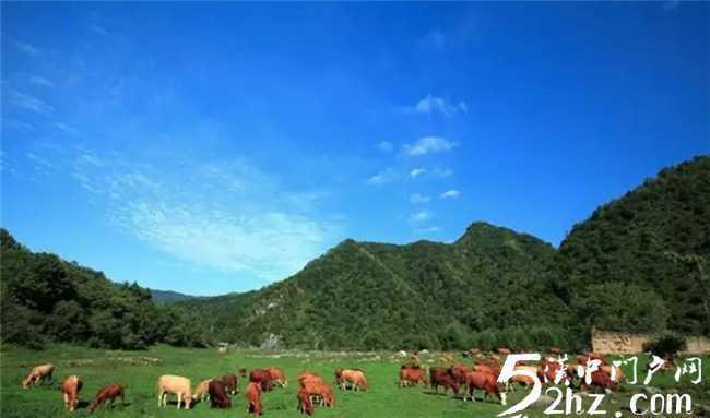 留壩開始全面探尋康養(yǎng)，旅居