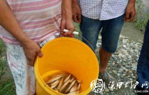 三人在河道非法電魚(yú)，被寧強(qiáng)民警抓個(gè)正著