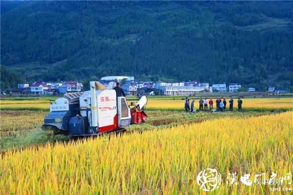 撒花！我市七家企業(yè)通過GAP認證，拿到通行全球“護照”