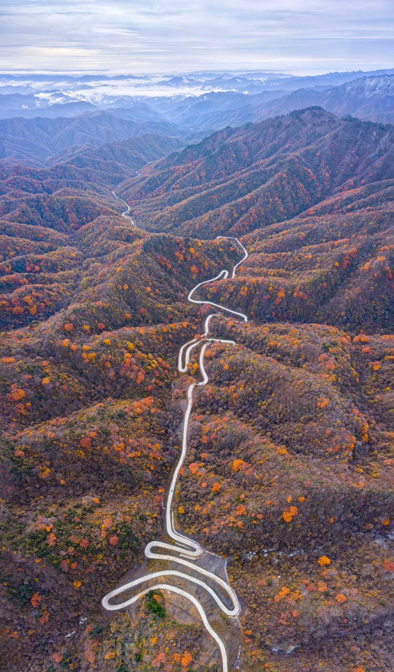 陜西留壩縣:一場紅葉盛宴的絕美樂章拉開帷幕