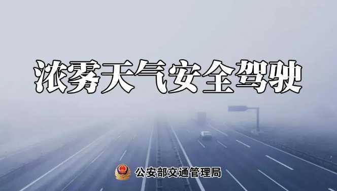 多地有大霧，安全駕駛提示速收好！ | 預(yù)警