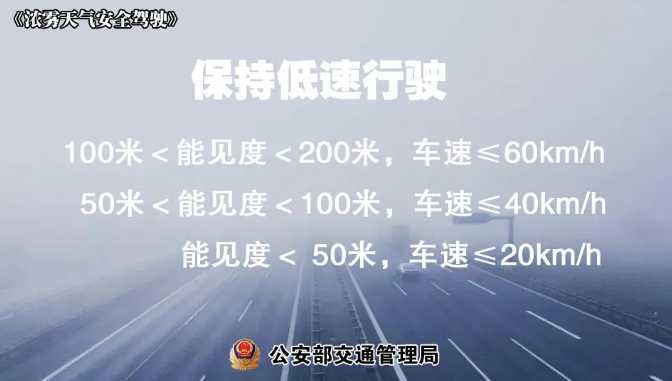 多地有大霧，安全駕駛提示速收好！ | 預(yù)警