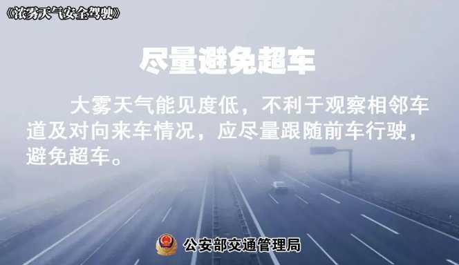 多地有大霧，安全駕駛提示速收好！ | 預(yù)警