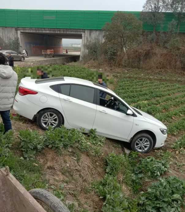 漢中一輛汽車開到油菜田里了！