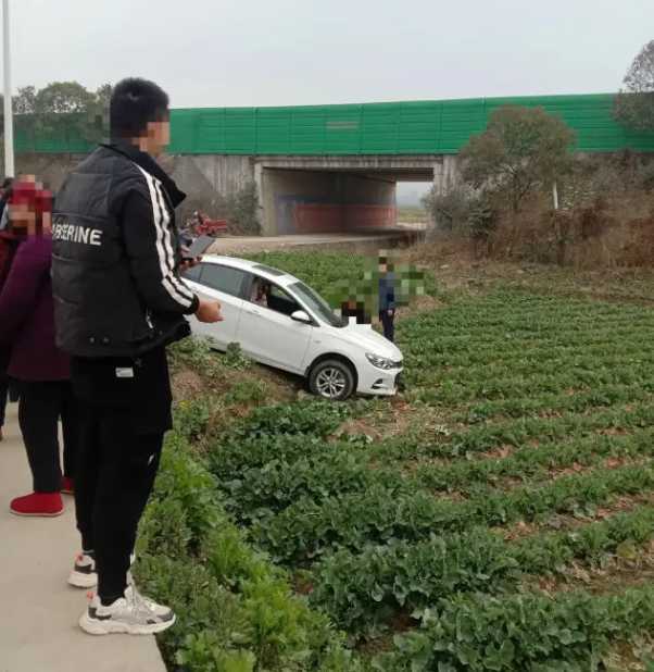 漢中一輛汽車開到油菜田里了！