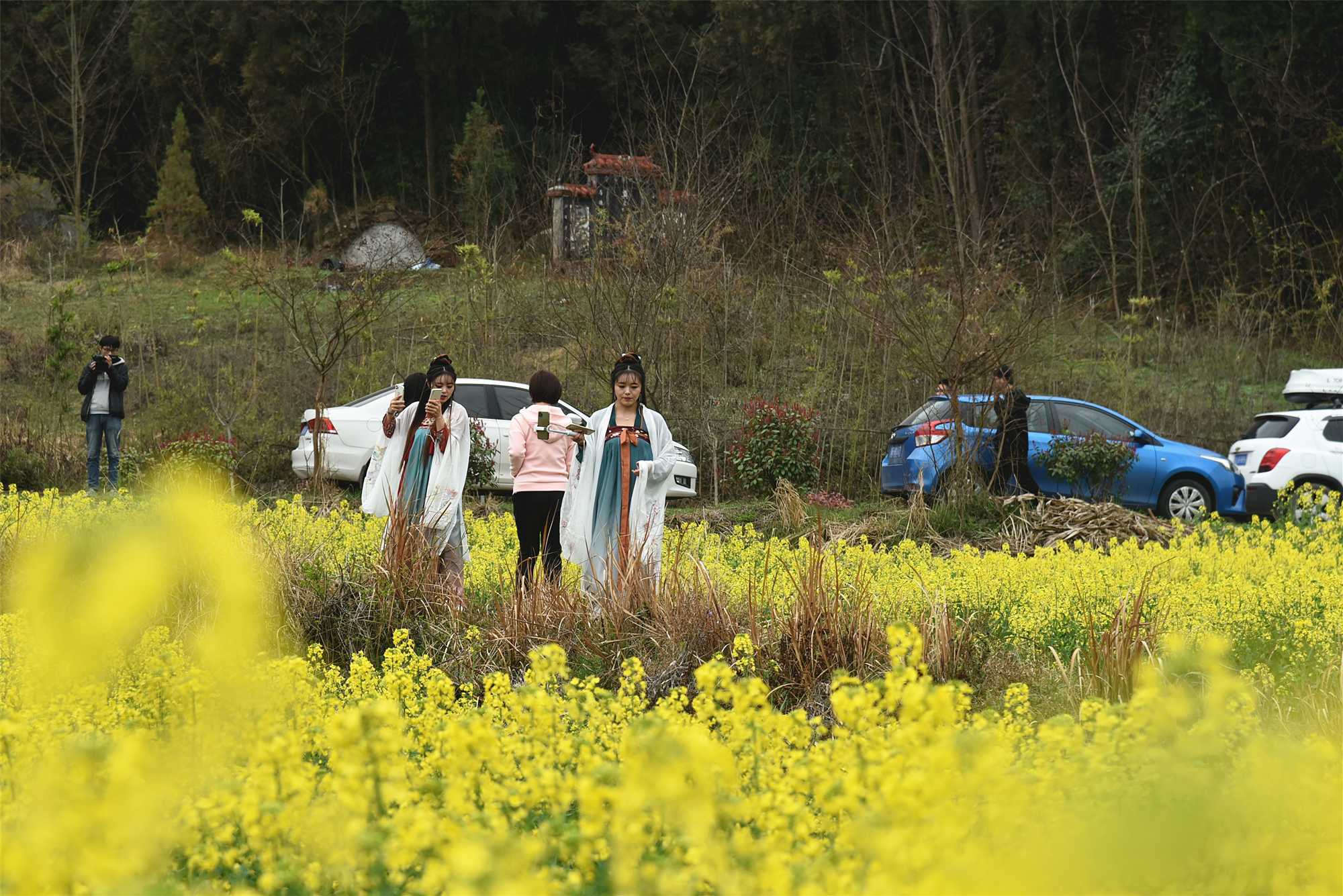 “2021中國最美油菜花?！h中旅游文化節(jié)”南鄭分會場啟幕