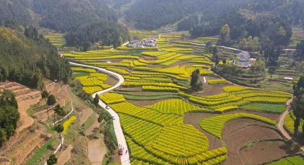 藏不住的梯田風光！漢中媒體采風團走進勉縣新鋪鎮(zhèn)漩水坪村