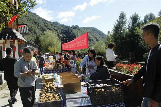 又是一年豐收時，留壩縣第四屆農(nóng)民豐收節(jié)今日正式開幕！