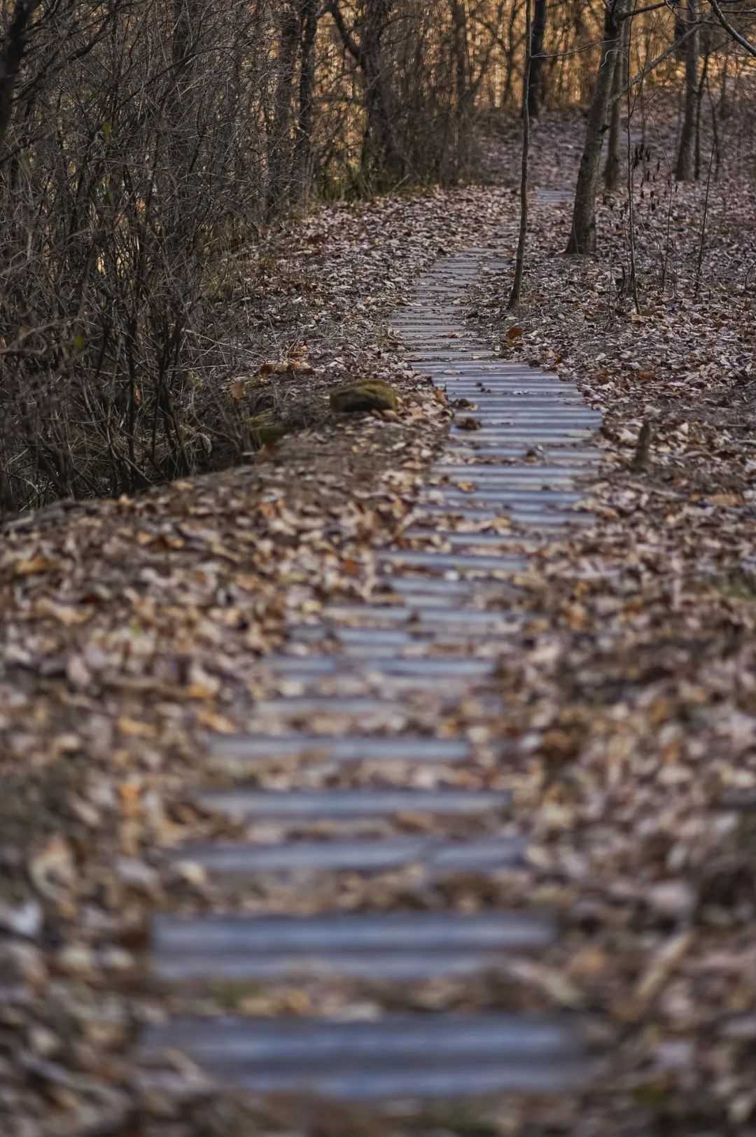 在漢中，這定是您向往的冬日生活！