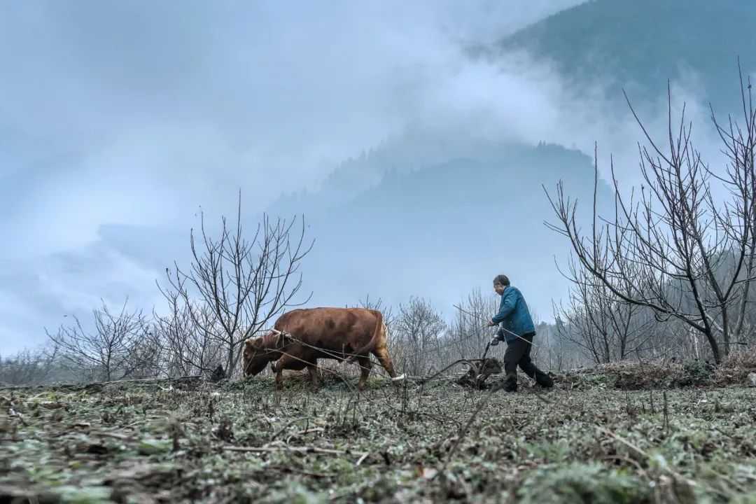 在漢中，這定是您向往的冬日生活！