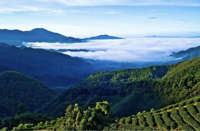 詩意鎮(zhèn)巴！這條醉美旅游線路私藏了萬千田園風(fēng)光！