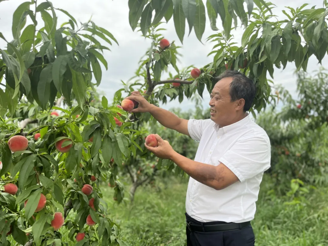 致富找出路！漢中村支書在土地里做“實(shí)驗(yàn)”→