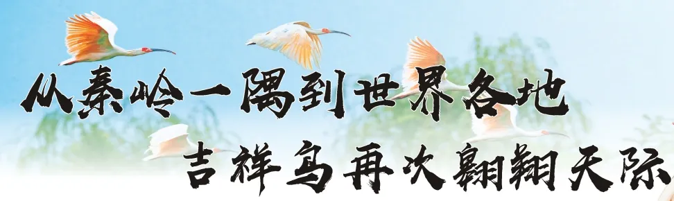 從秦嶺到世界！漢中創(chuàng)造生態(tài)奇跡！