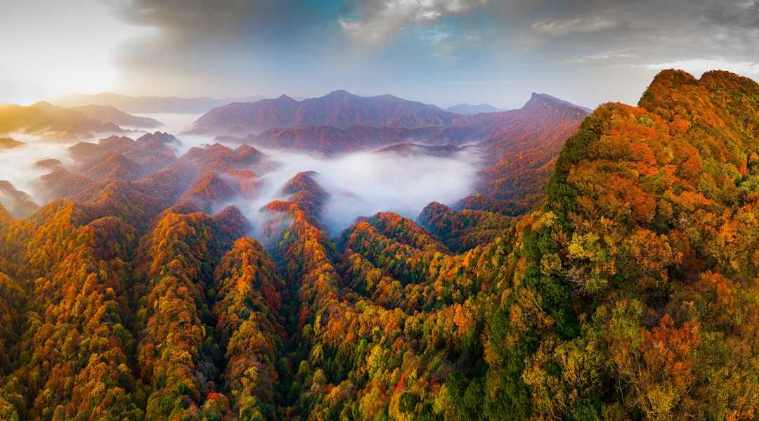 光霧山國(guó)家5A級(jí)旅游景區(qū)駐漢中接待中心正式揭牌