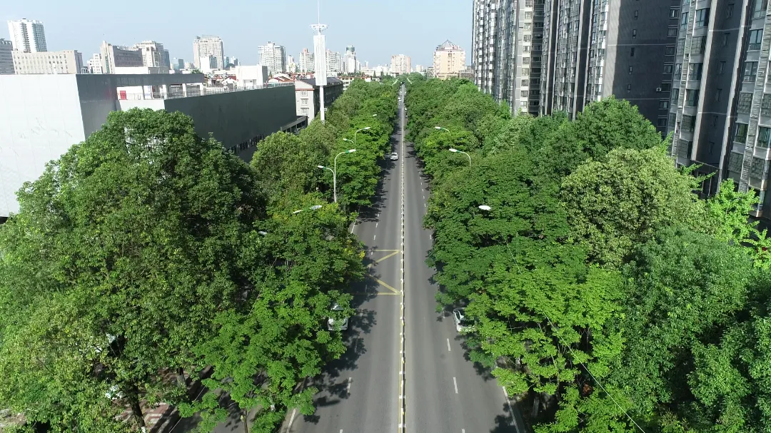 漢臺下足“繡花”功夫 推進(jìn)城市精細(xì)化管理