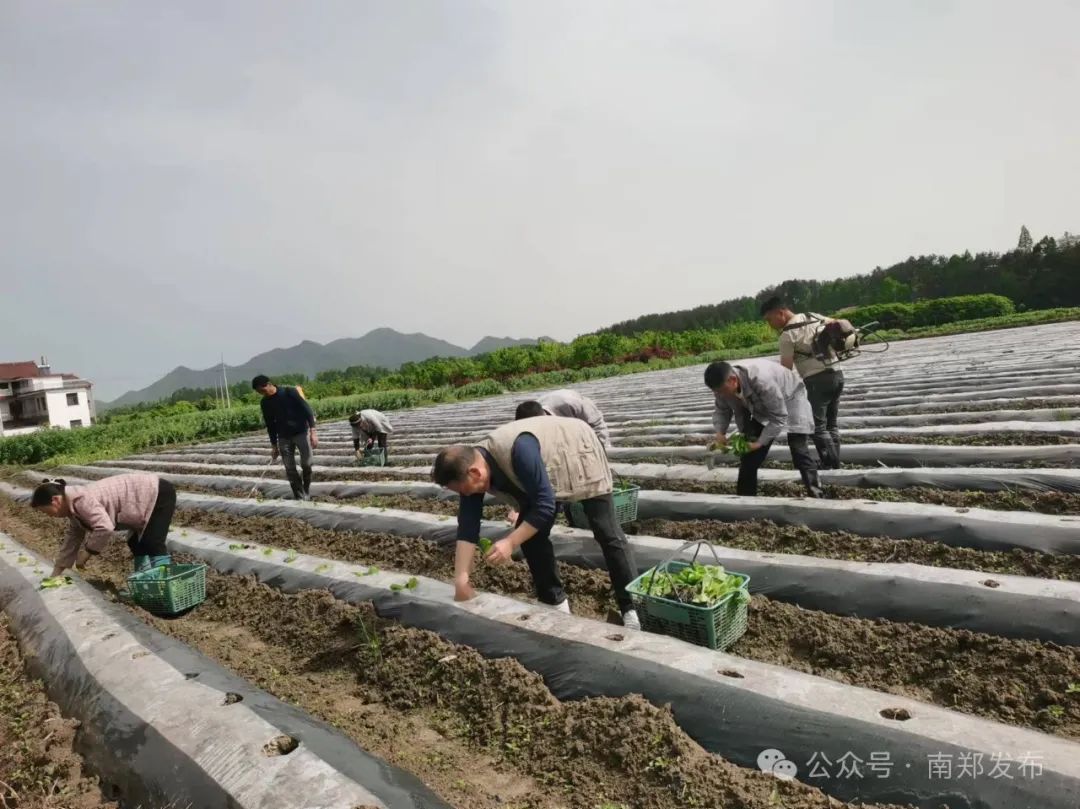 漢中這些地方，藏著令人向往的滿分初夏時光！