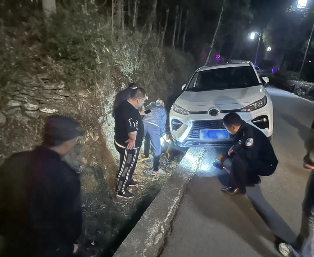 游客車陷水溝，漢中警民合力助脫困