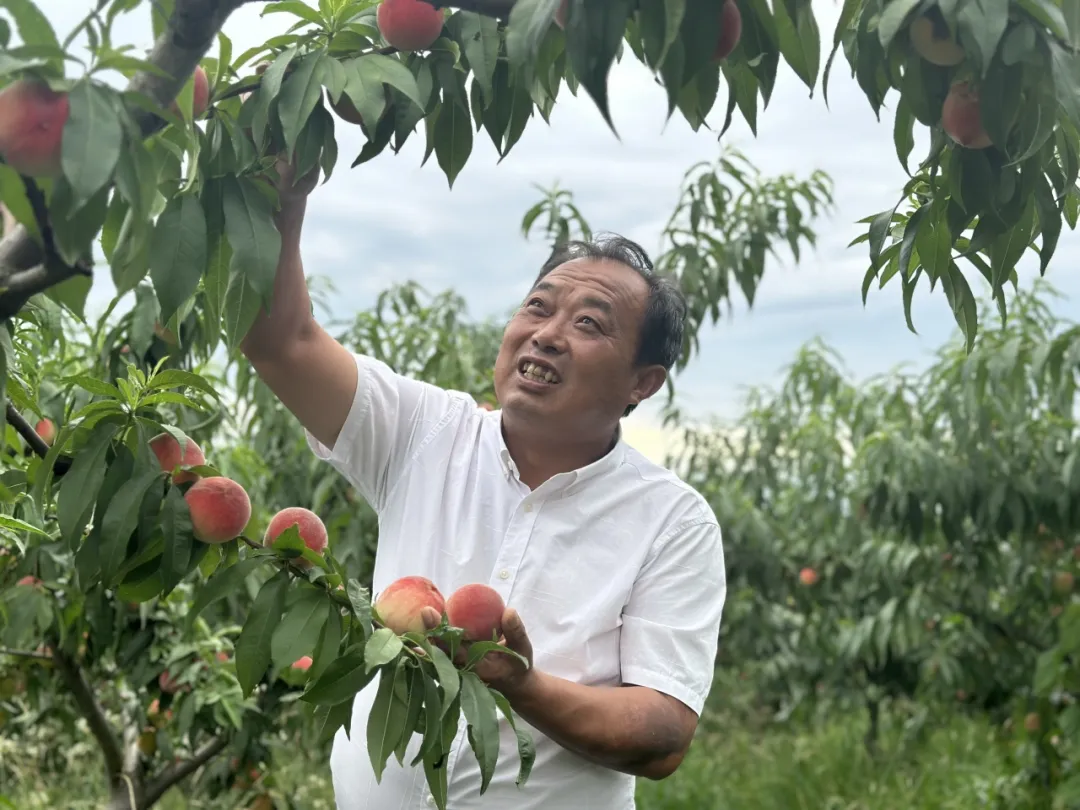 致富找出路！漢中村支書在土地里做“實(shí)驗(yàn)”→