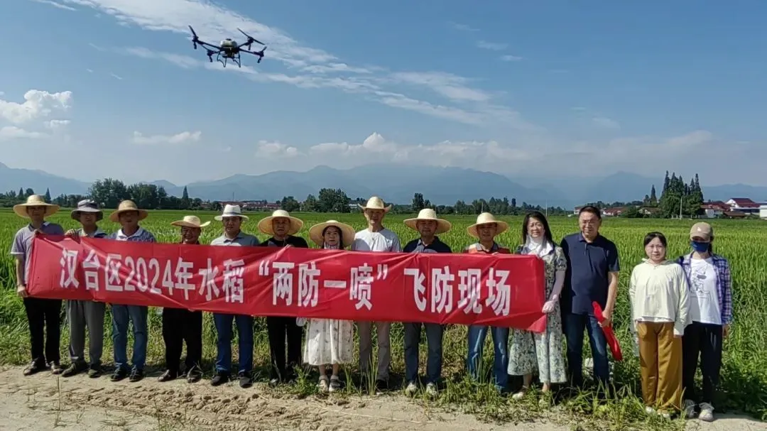 漢臺：5萬余畝稻田完成無人機(jī)“飛防”作業(yè)