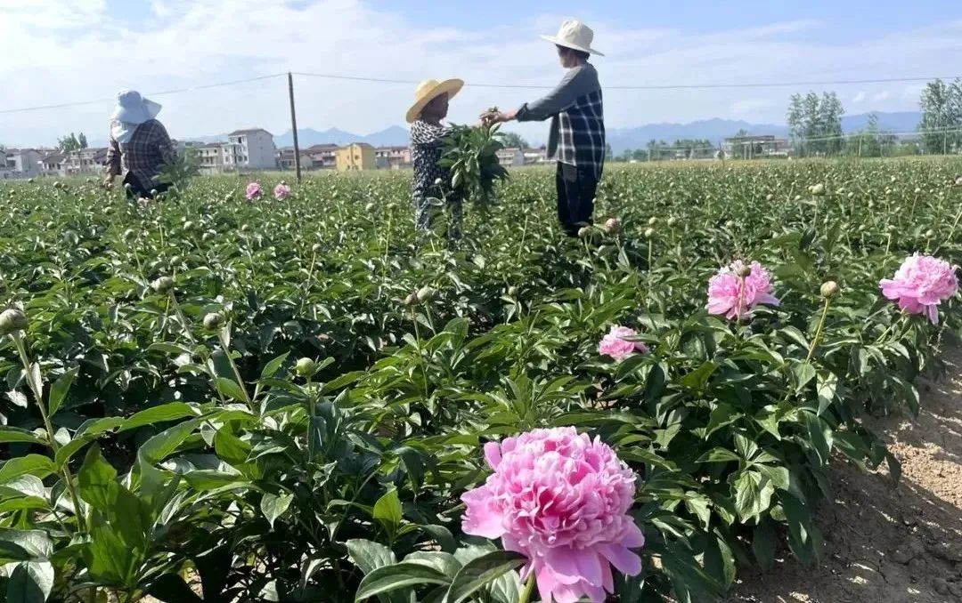 漢中這些地方，藏著令人向往的滿分初夏時光！