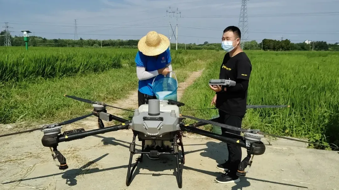 漢臺：5萬余畝稻田完成無人機(jī)“飛防”作業(yè)