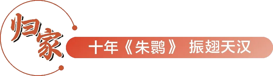 從秦嶺到世界！漢中創(chuàng)造生態(tài)奇跡！